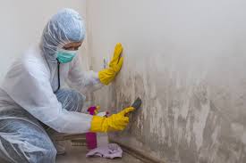 Mold Remediation